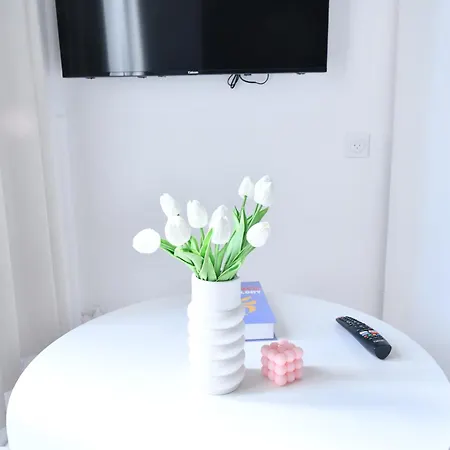 1 Pièce 20 M2